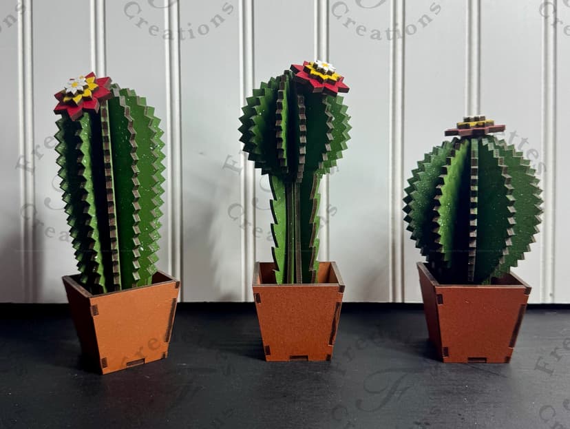 Cactus set 