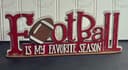 Football is my Favorite Season  2