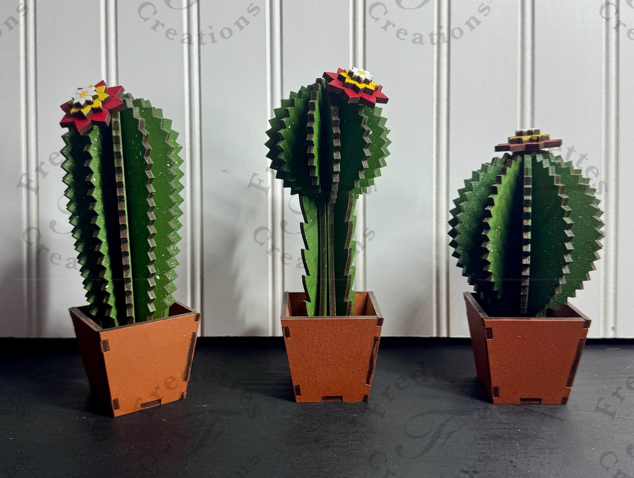 Cactus set 